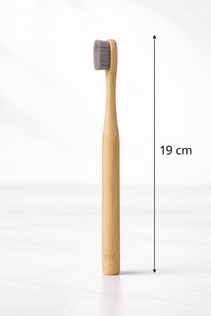 Round handle adult standard tooth brush